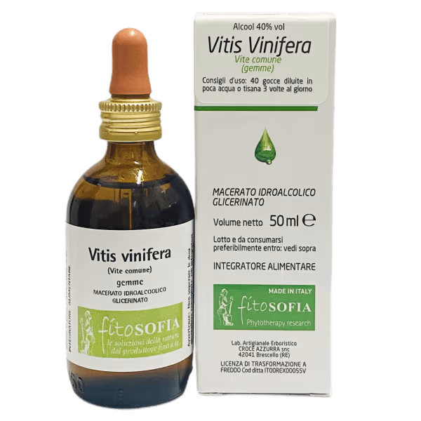 Vitis vinifera