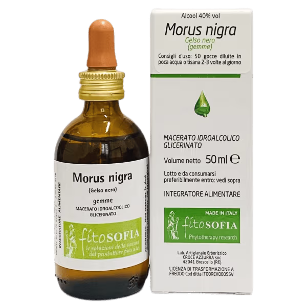 Morus nigra