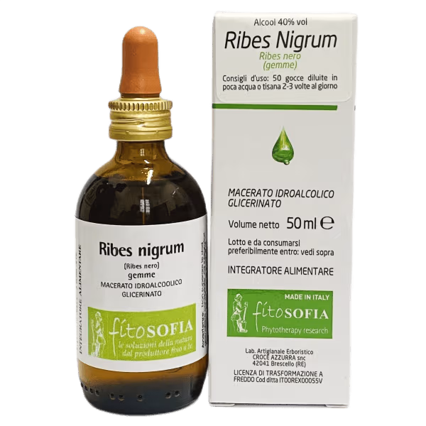 Ribes nigrum
