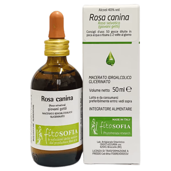 Rosa canina
