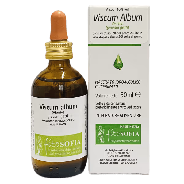 Viscum album