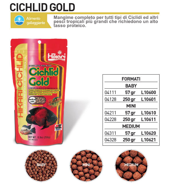 Cichlid Gold baby – 57 Gr