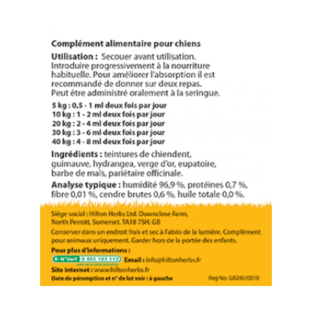 KD solution CANE - immagine 3